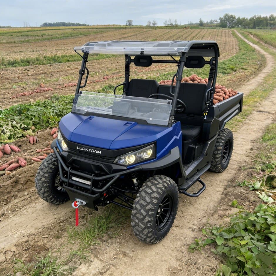 73.6V 4WD UTV 10kw AC motor EPS kormányzás 150ah akkumulátor