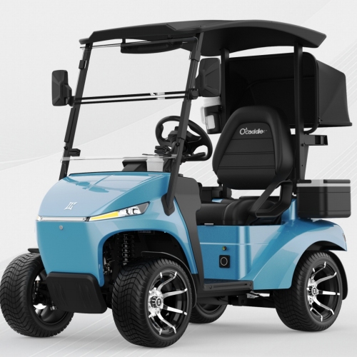 Elektromos golfkocsi 48 V-os lítium akkumulátoros utcai legális 1,5 kW-os váltóáramú motor